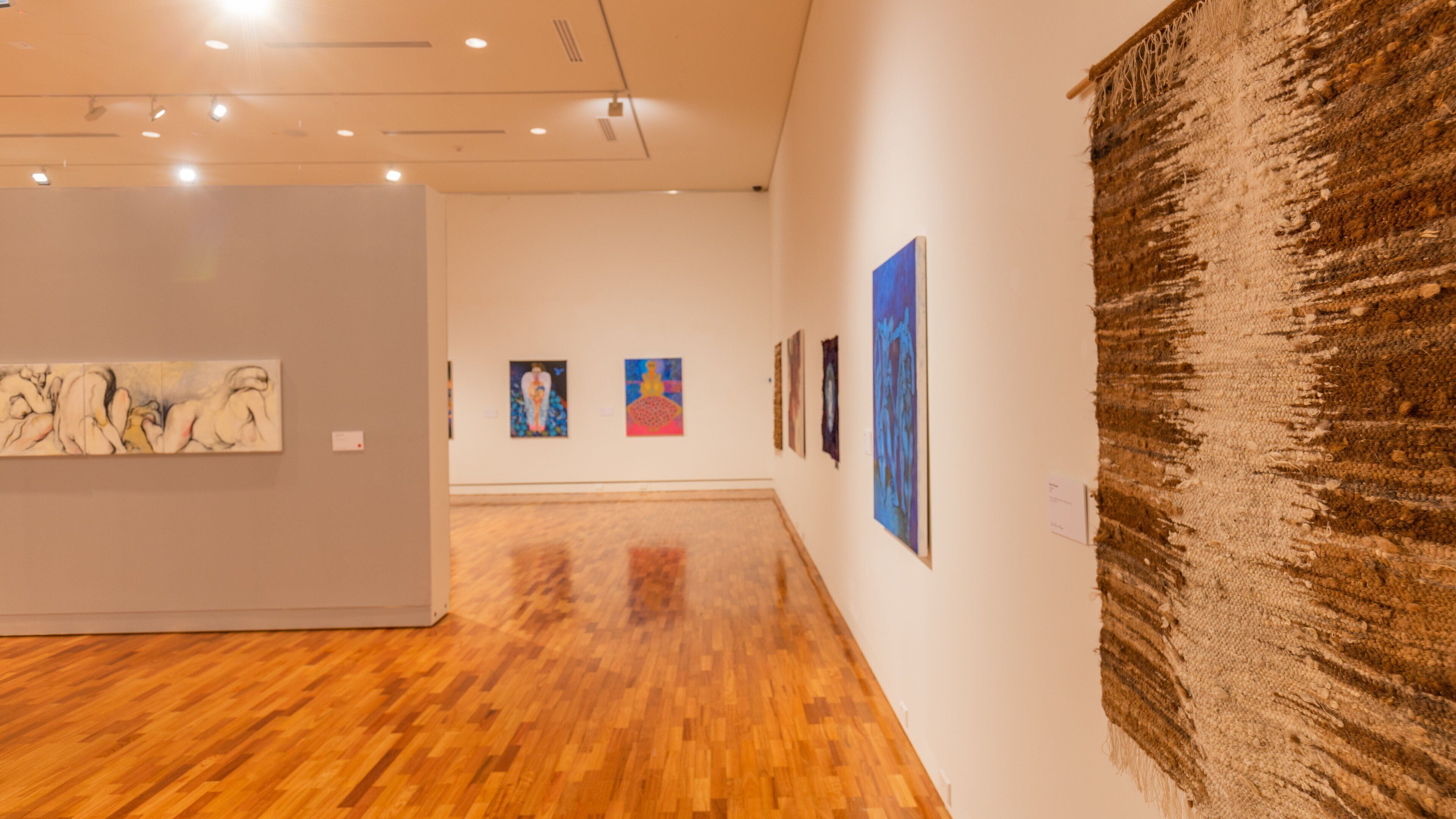 Tamworth Regional Gallery featuring art and interior views
