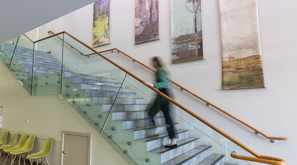 Tamworth Regional Gallery showing interior views and art as well as an individual femail