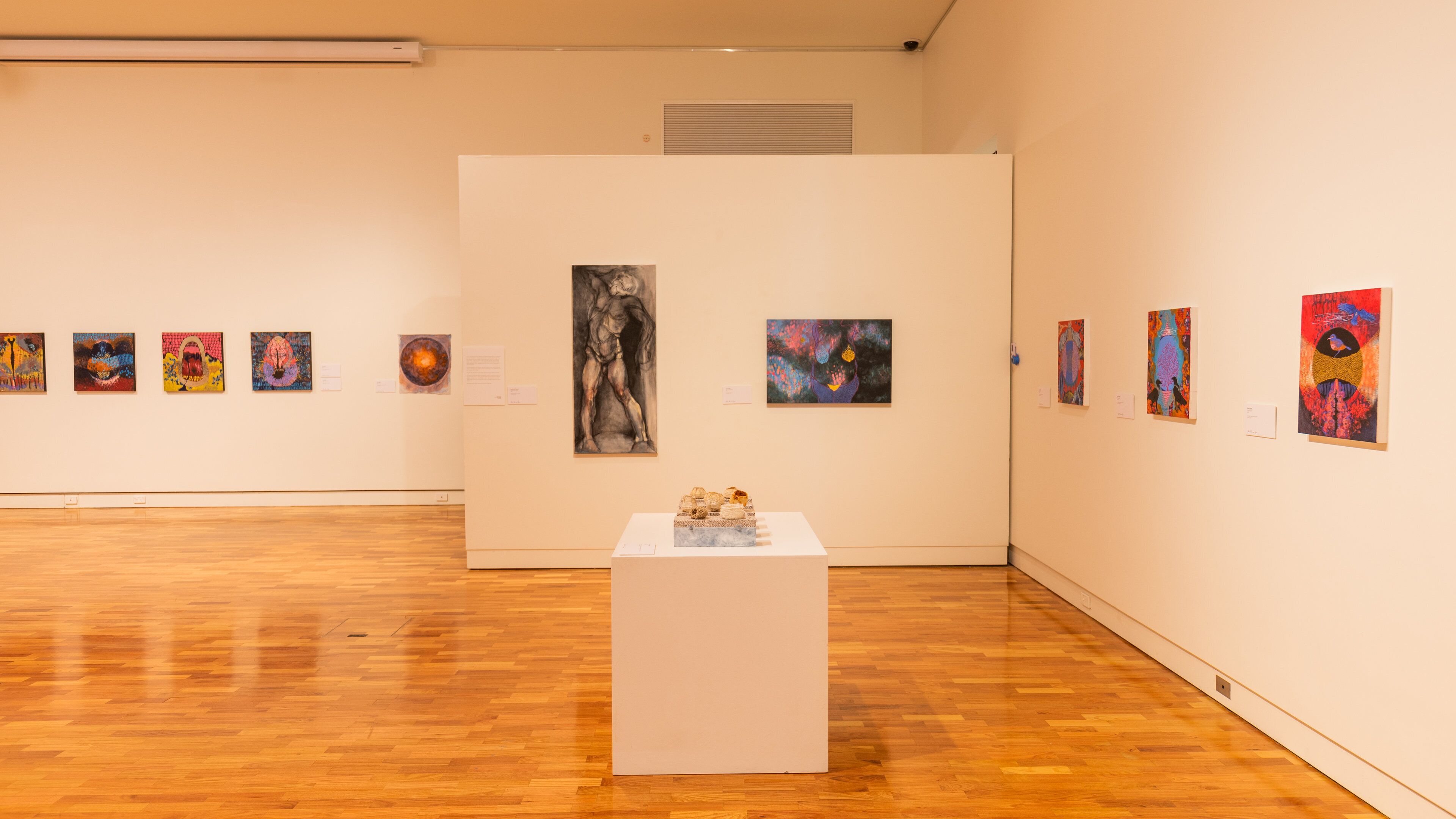 Tamworth Regional Gallery showing interior views and art