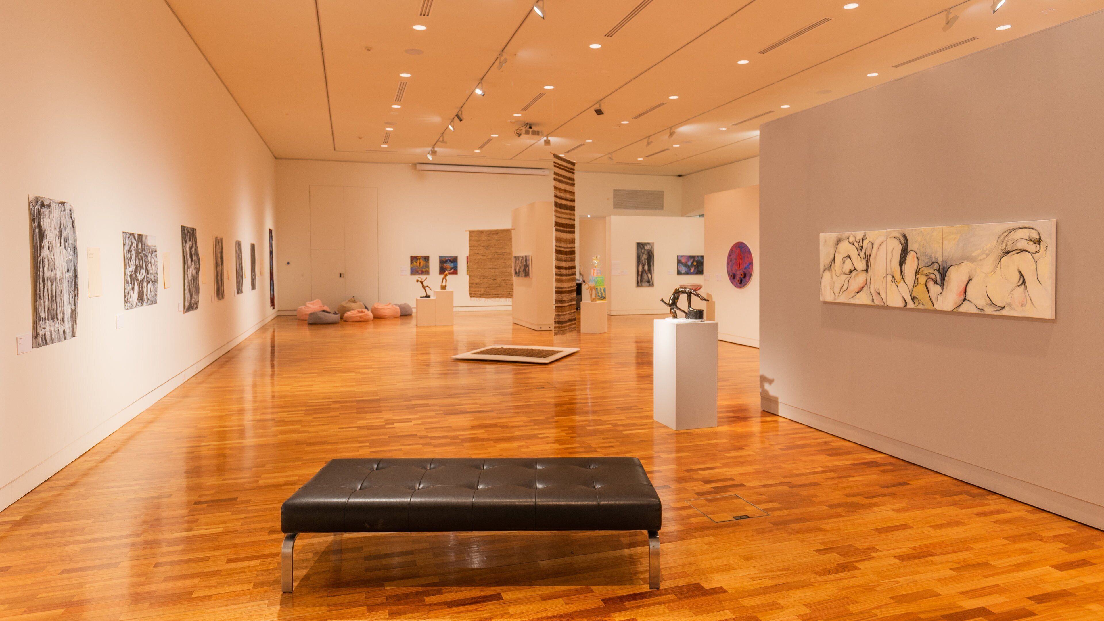 Tamworth Regional Gallery which includes interior views and art