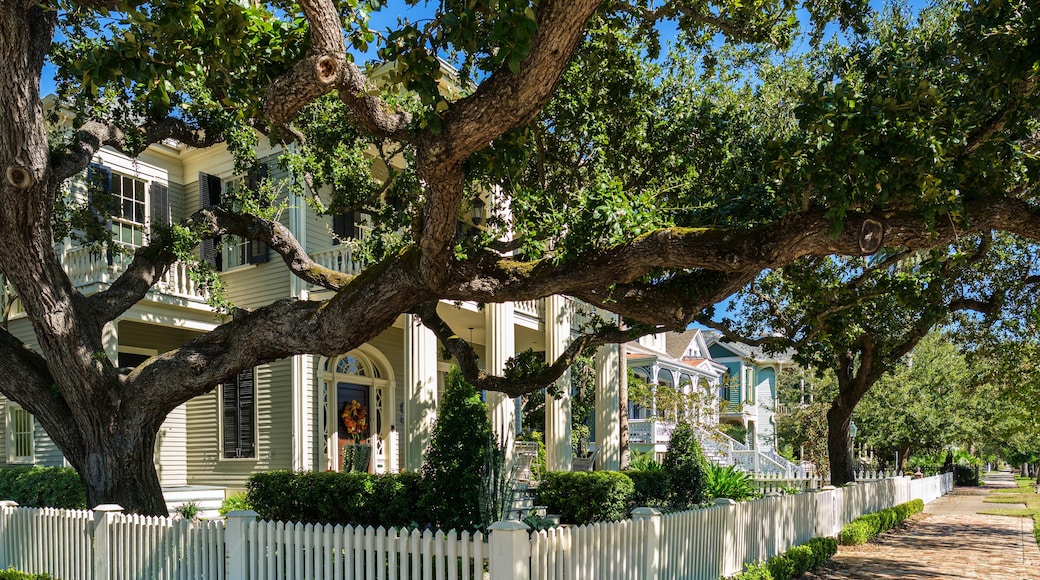 Galveston Historical Homes