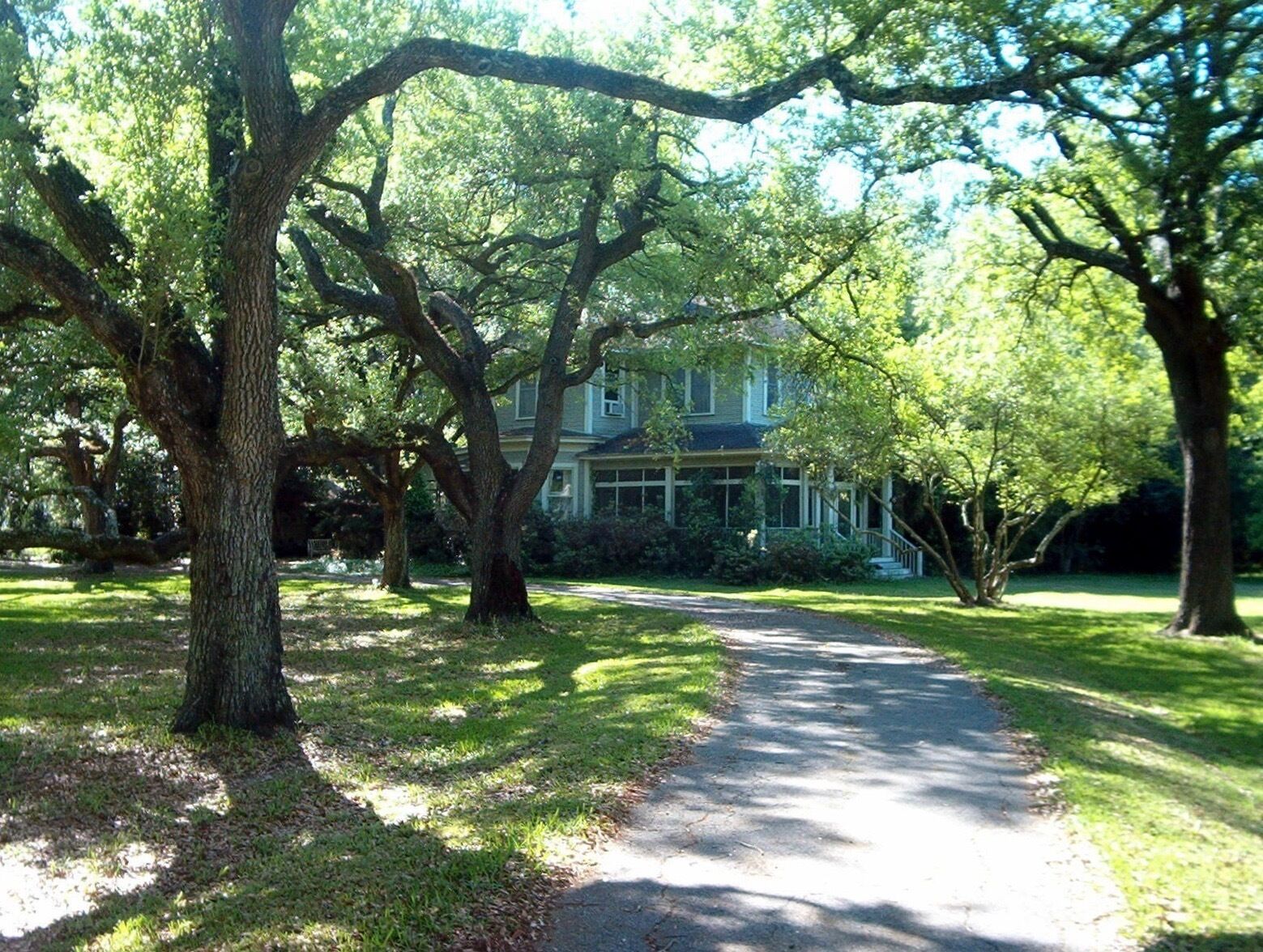 The old Griffing Nursery isn't in operation anymore, but the area is still filled with wonderful trees and green space.