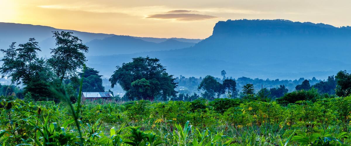 View from the Sipi falls in the Mount Elgon national park in Uganda
