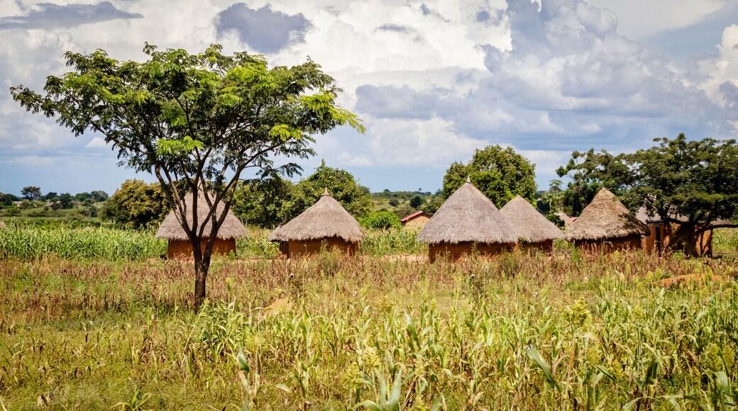 A rural landscape with thatched-roof huts, a tree, and a field of corn.