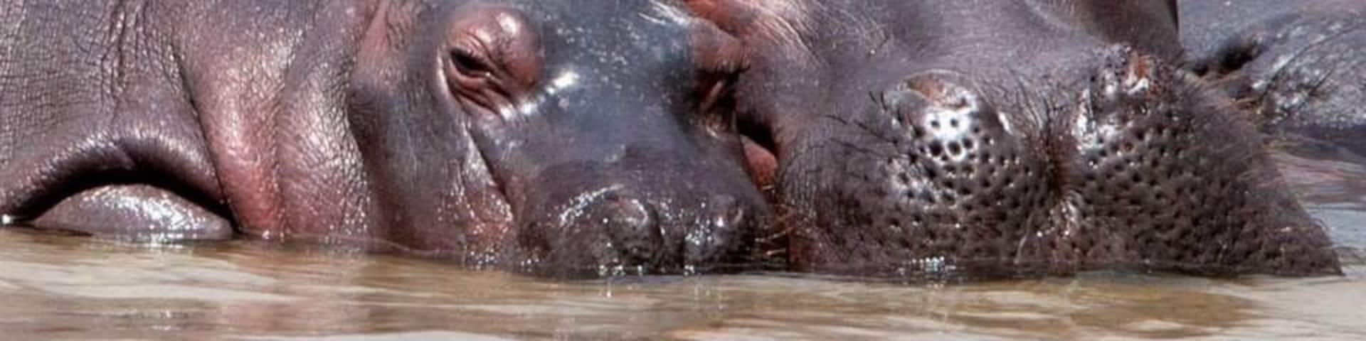 So cute!! Mum and baby hypo