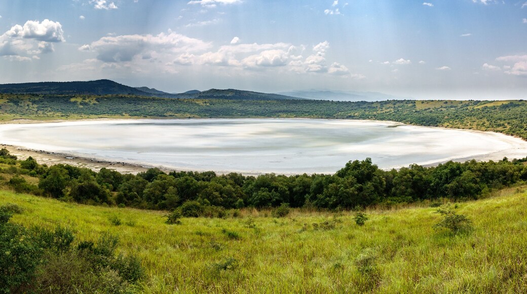 Queen Elizabeth salt lake, Uganda