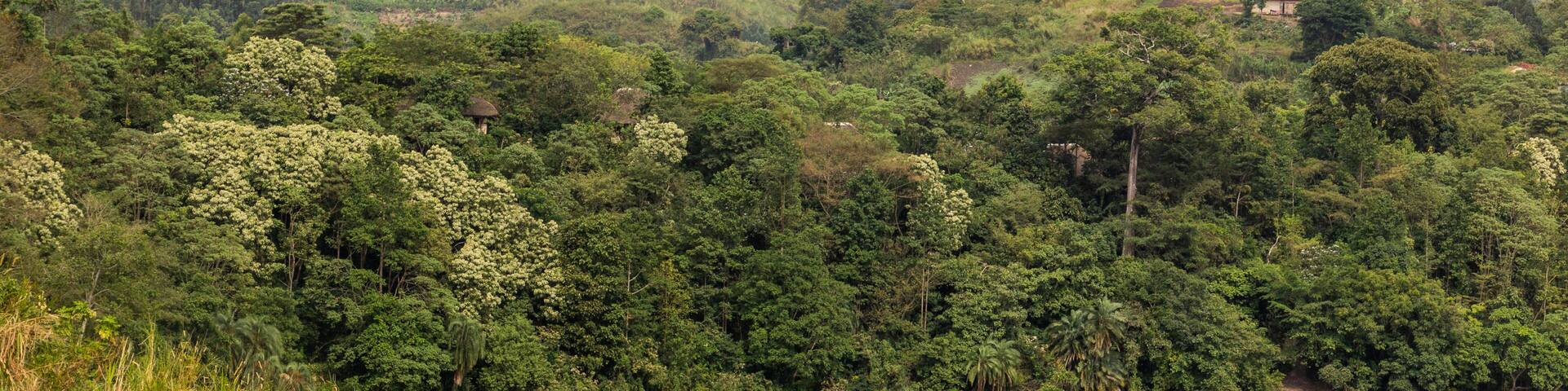 Landscape around lake Lyantonde near Fort Portal, Uganda
