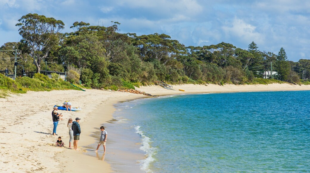 Shoal Bay Beach showing general coastal views and a beach as well as a family