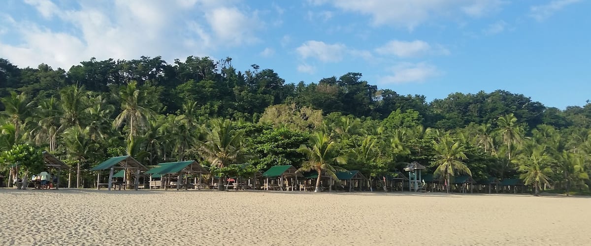A beach with palm trees and beach huts.