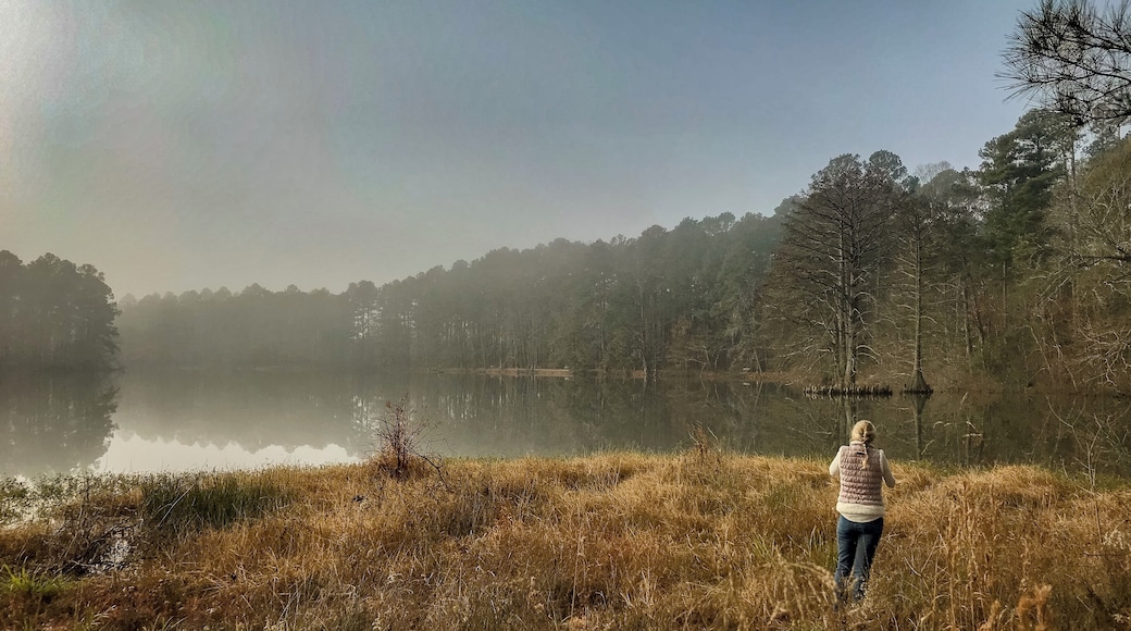 Plenty of scenic shots at #LucasPond