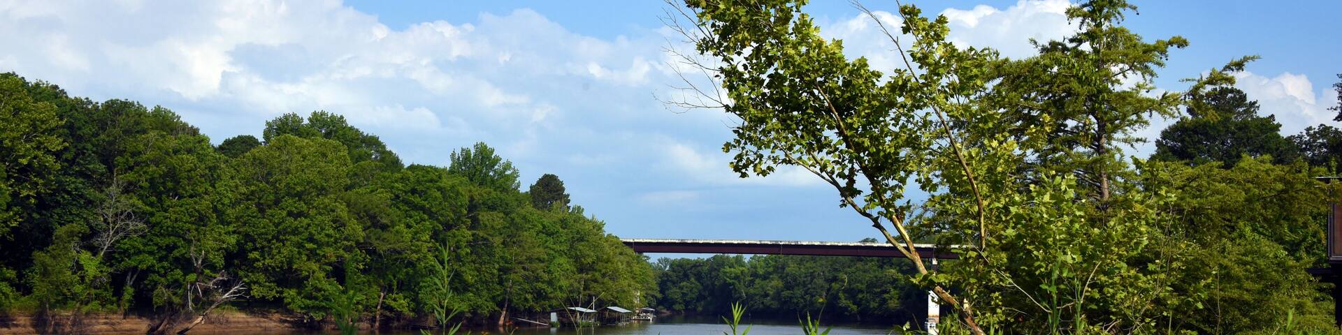 Ouachita River Bridge and Landscape