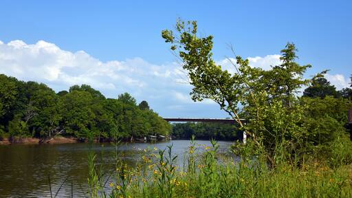 Ouachita River Bridge and Landscape