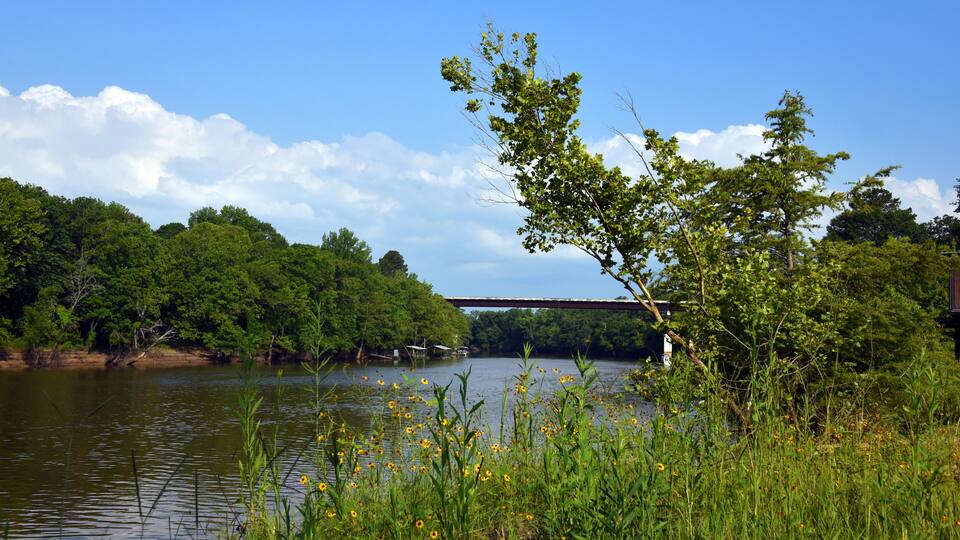 A river with a bridge, surrounded by lush greenery and wildflowers.