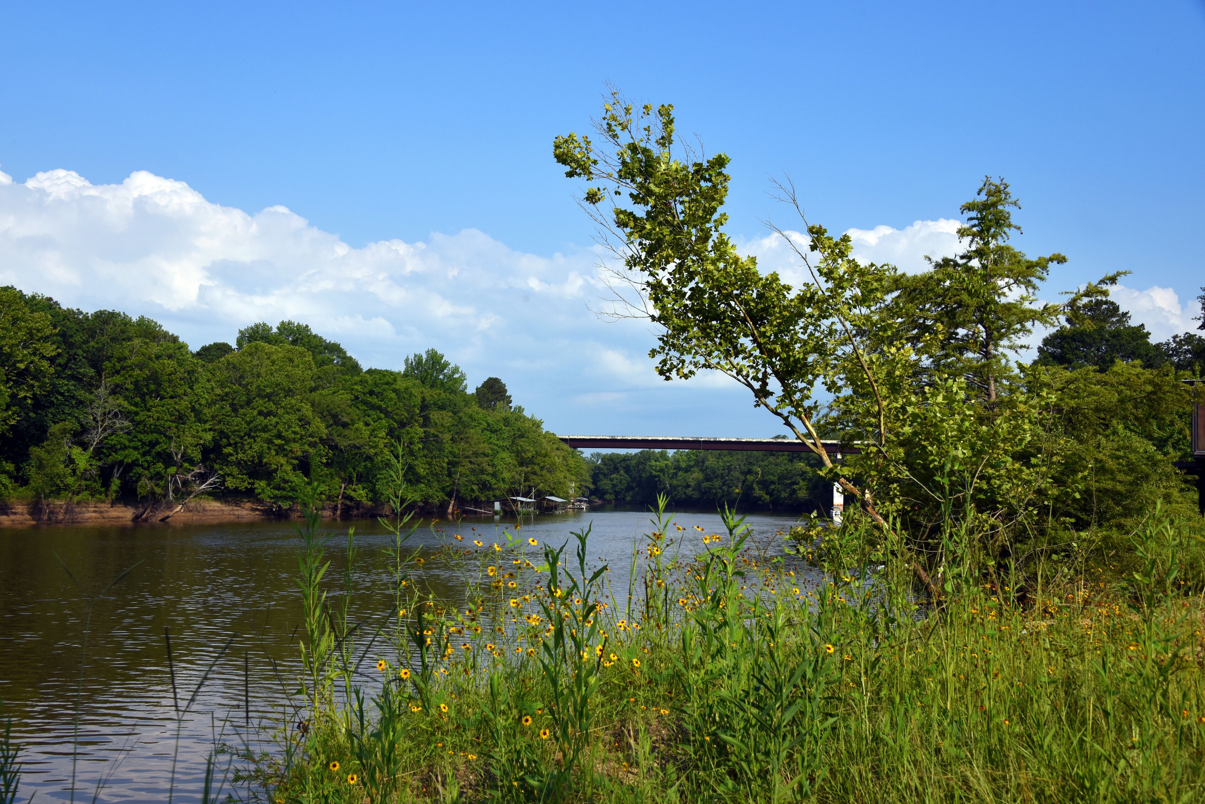 A river with a bridge, surrounded by lush greenery and wildflowers.