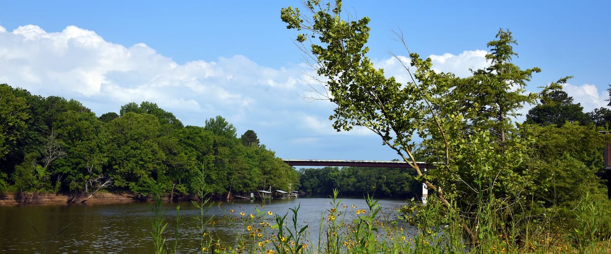 A river with a bridge, surrounded by lush greenery and wildflowers.