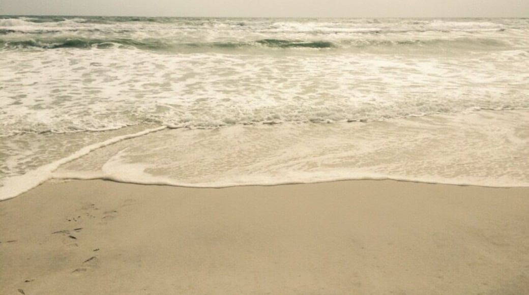 Gulf breeze beach. Lots of waves today