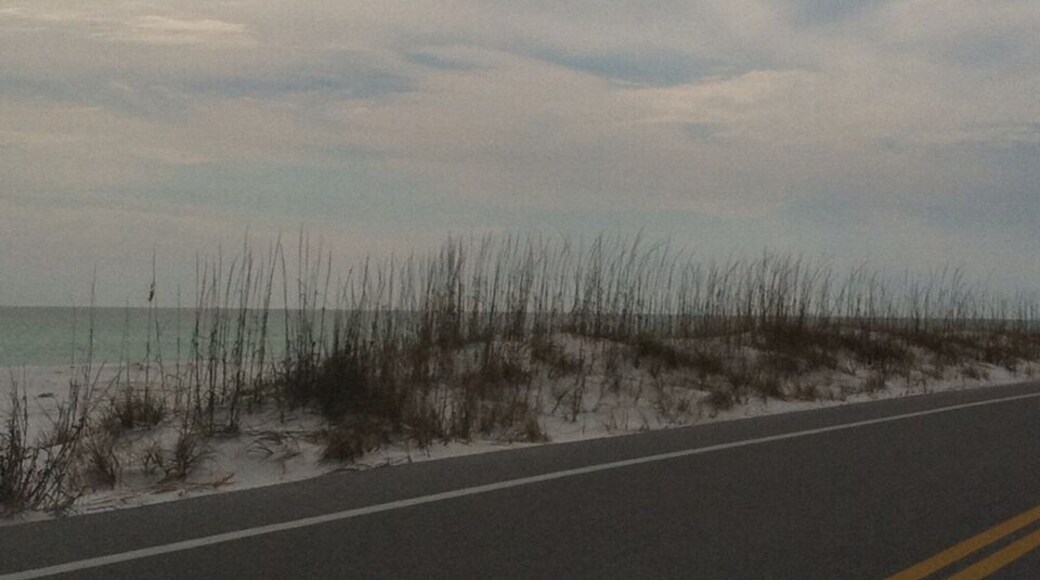 Nice drive in to Pensacola beach