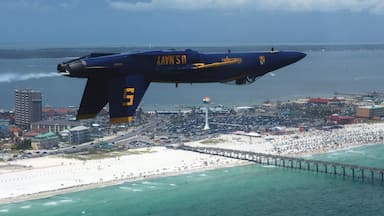 A blue and yellow airplane flying over a beach with a pier and a cityscape in the background.