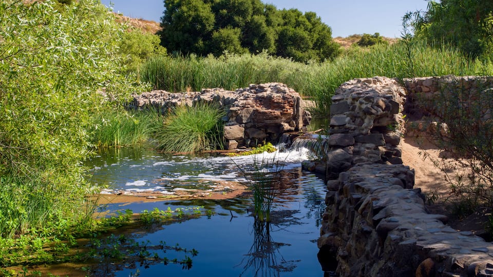 A calm river flowing through a rocky landscape with lush greenery and trees in the background.