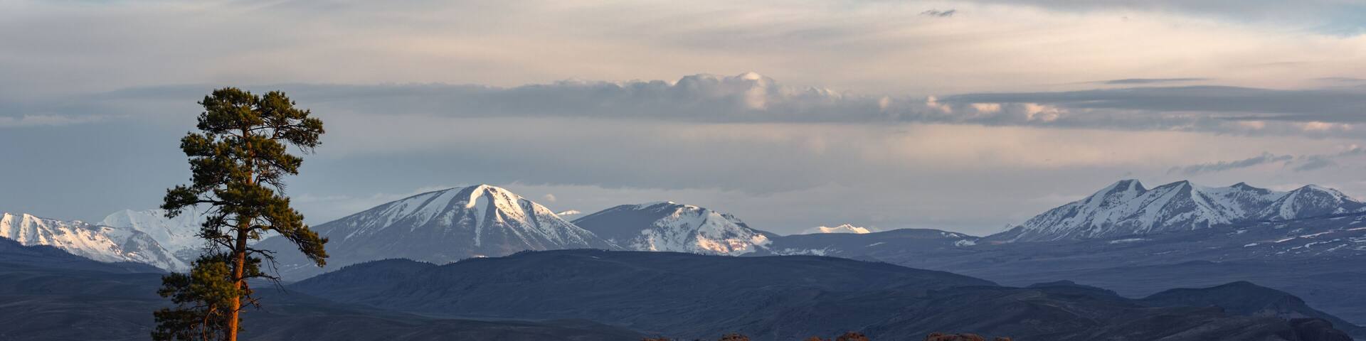 Soft morning light on Hartman Rocks in Gunnison Colorado. The Gunnison valley is changing in late spring, while the snow covered Elk Range mountains are locked in winters grasp.