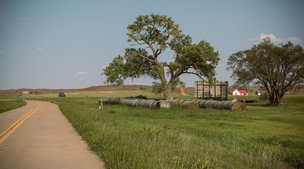 Route 66 Oklahoma. Road in the countryside