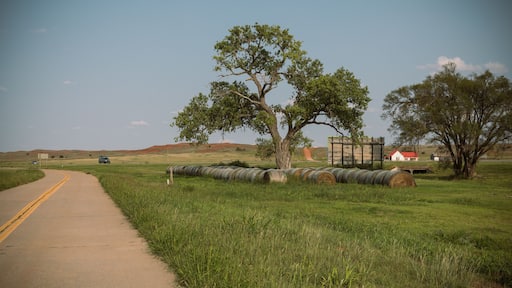 Route 66 Oklahoma. Road in the countryside