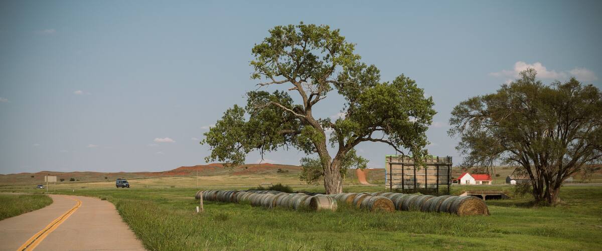 A rural road with a large tree, hay bales, and a red-roofed building in the distance.