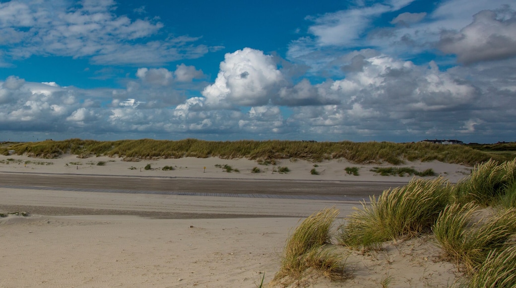 beach on north sea in germany