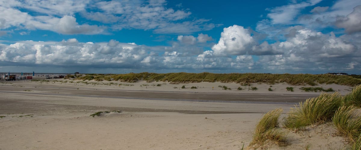 A beach with dunes and a clear sky.
