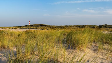 Sylt
