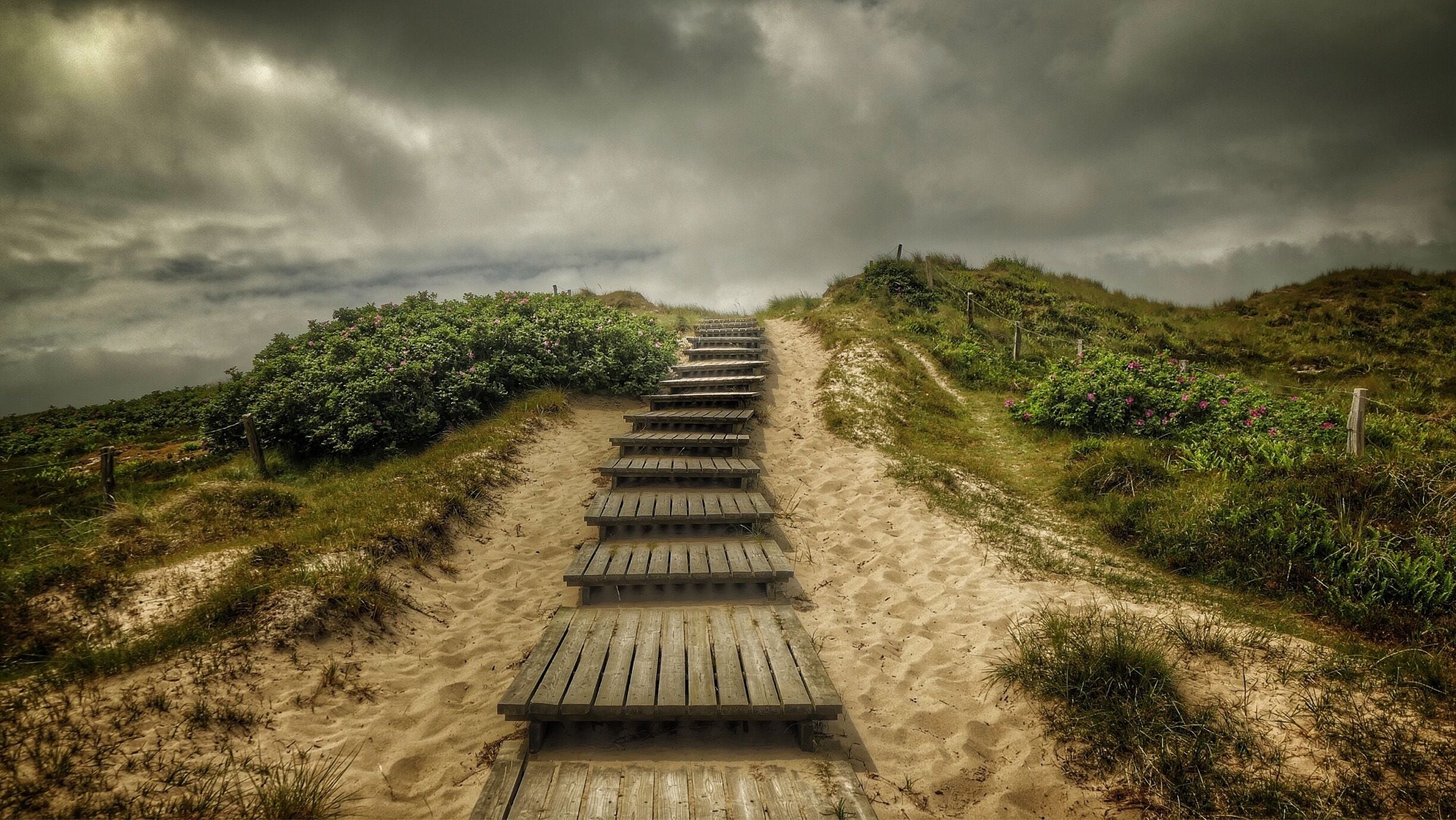 A wooden boardwalk leading uphill through a sandy area with green vegetation on either side.
