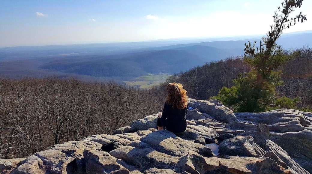 Beautiful views at the overlook. My happy place!!