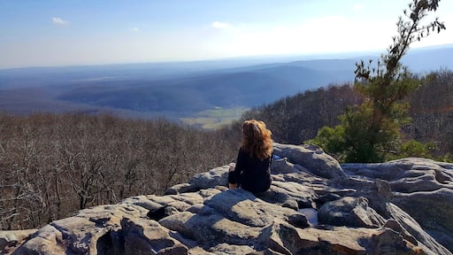 Beautiful views at the overlook. My happy place!!