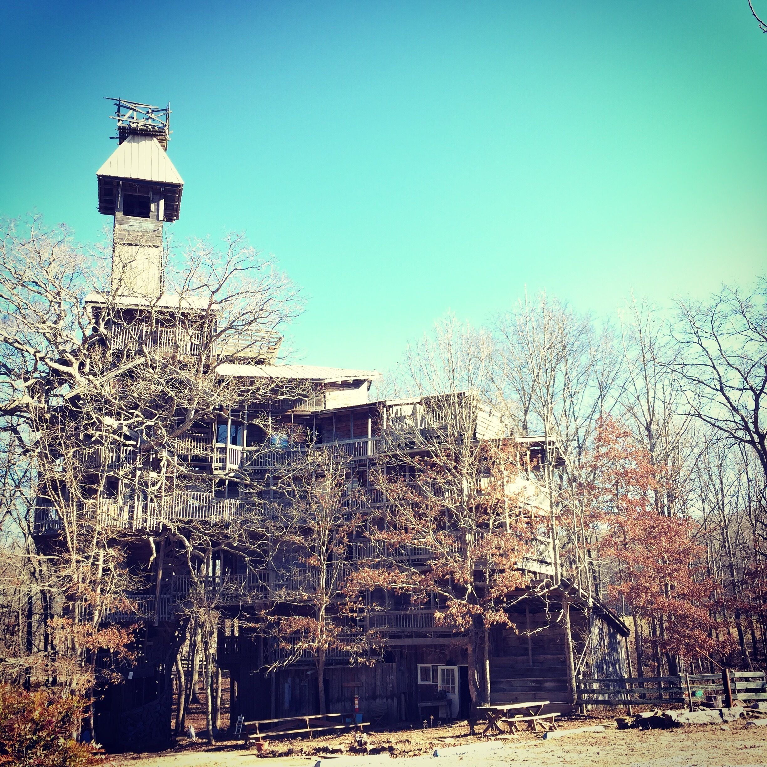 Worlds largest treehouse. It's beauty is worth the trespassing. 