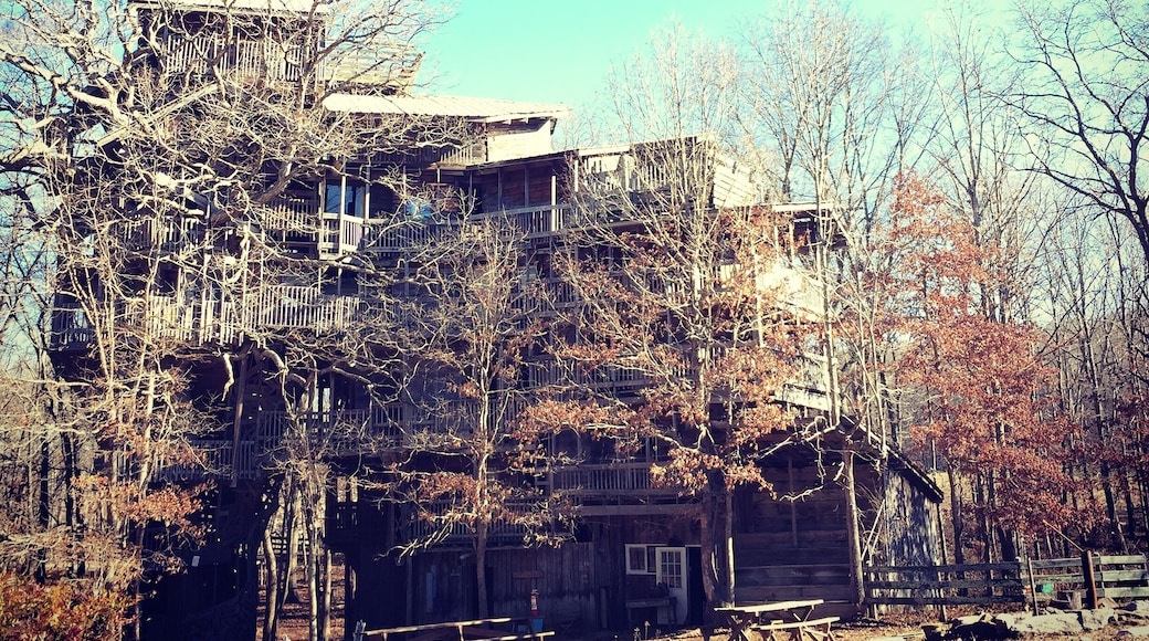 Worlds largest treehouse. It's beauty is worth the trespassing.