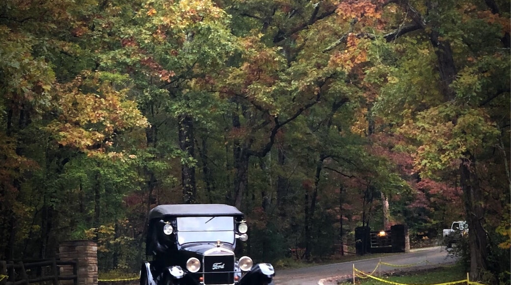 Antique Cars Traveling through Cumberland Mountain State Park.