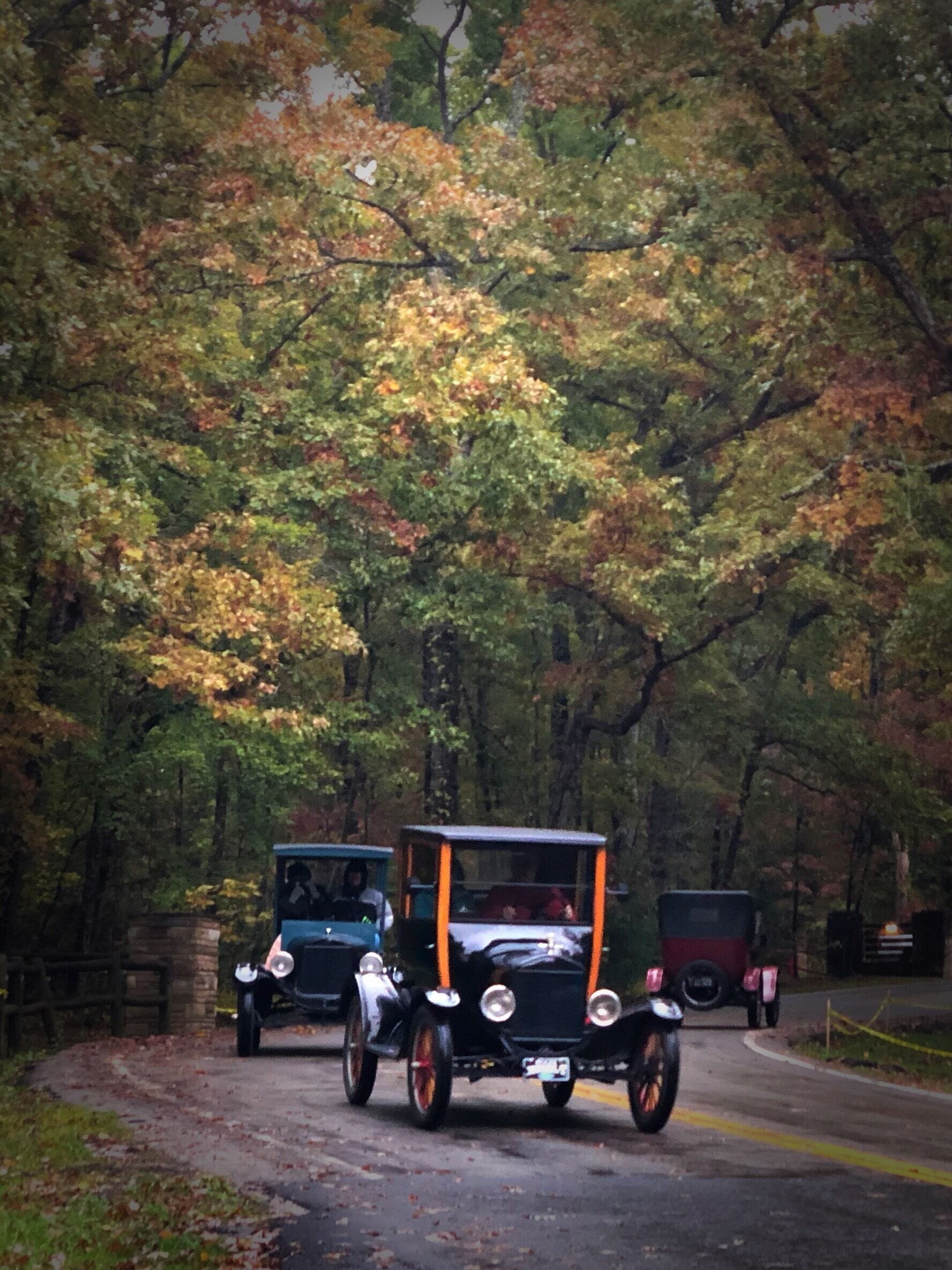 Antique cars driving through Cumberland Mountain State Park.