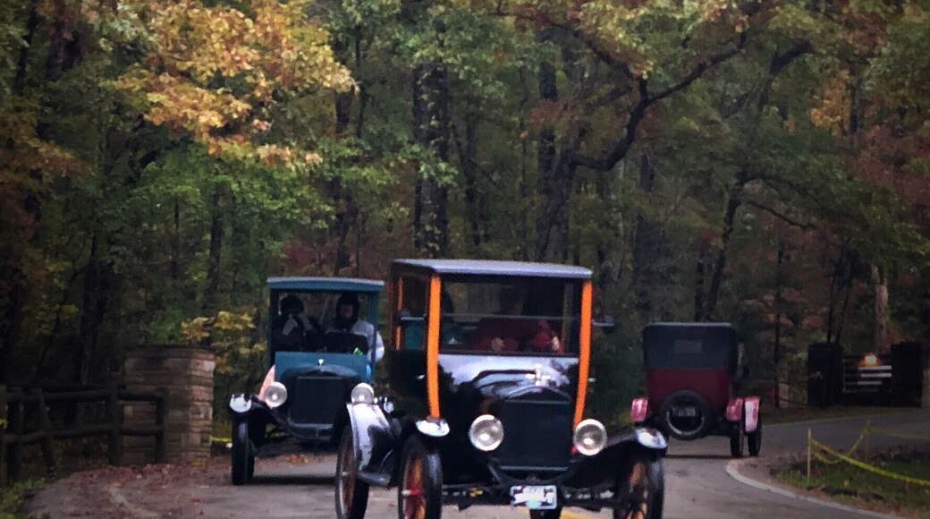 Antique cars driving through Cumberland Mountain State Park.