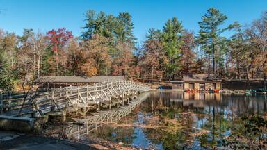 Cumberland mountain state park boat area