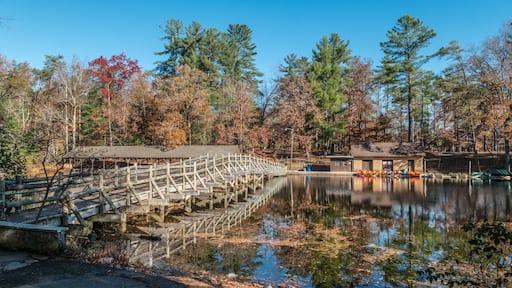 Cumberland mountain state park boat area