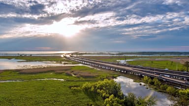 Early evening sky above Mobile Bay in April