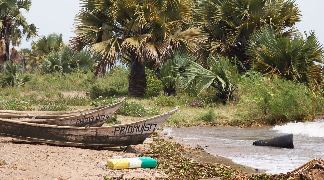 Beautiful places in Uganda ❤️