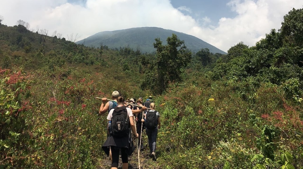 January 2017 - Climbing up Mt. Nyragongo can take 4-6 hours depending on the speed of your group.