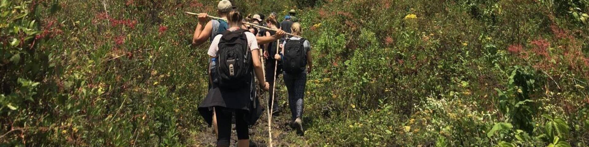 January 2017 - Climbing up Mt. Nyragongo can take 4-6 hours depending on the speed of your group.