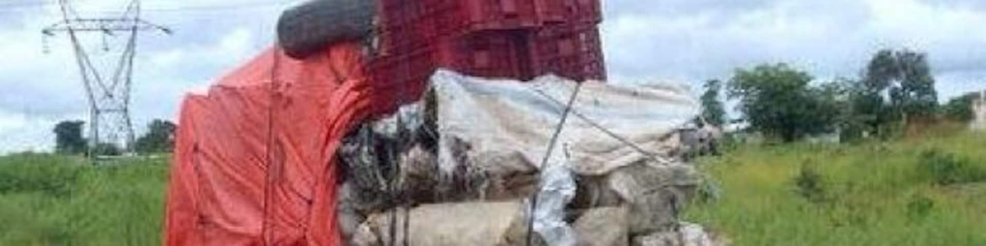 Transport in the Congo