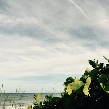 Beautiful satellite beach. This is a very clean beach park with great surfing.