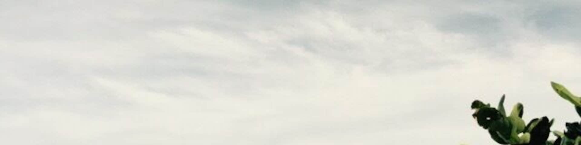 Beautiful satellite beach. This is a very clean beach park with great surfing.