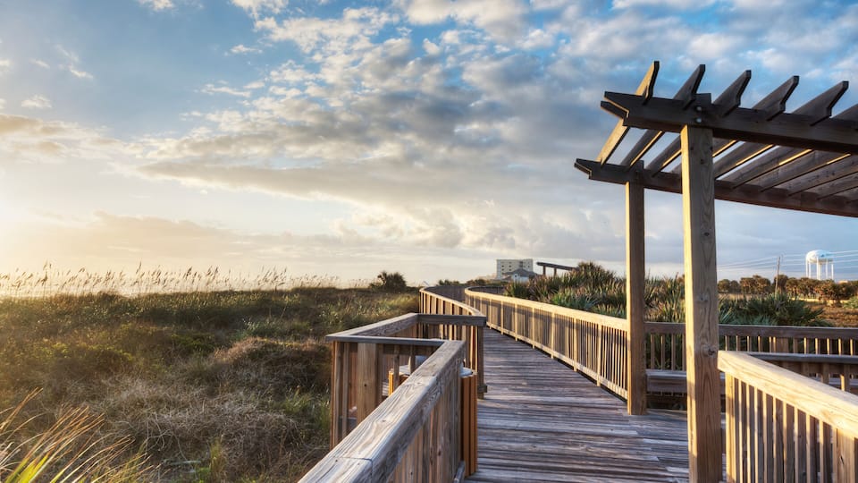 A wooden boardwalk leading through a grassy area with a wooden pergola structure.