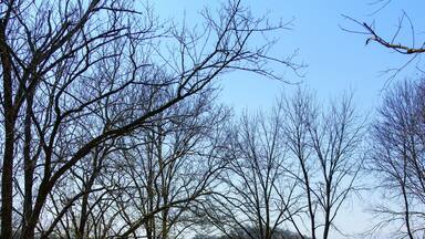 Bridge to Nature Preserve