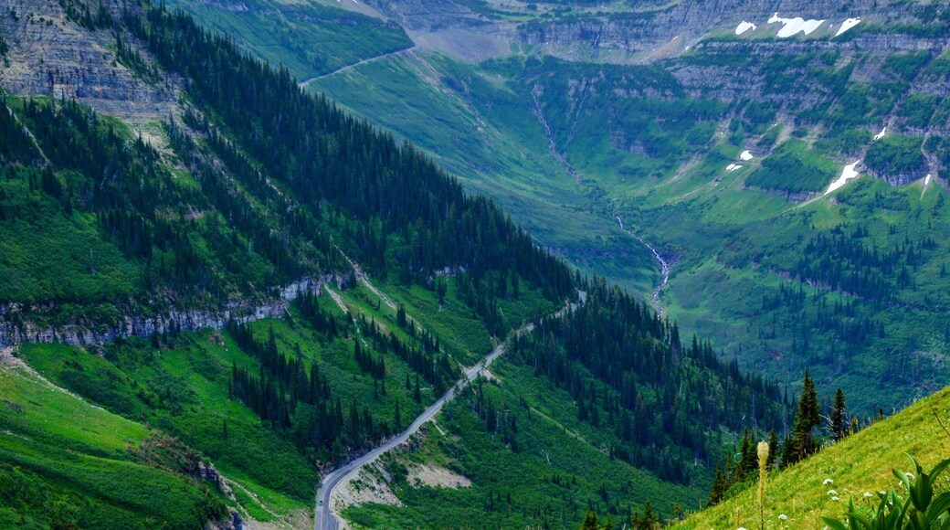 Glacier NP one of the most beautiful places!